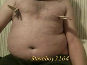 Slaveboy3164