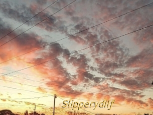 Slipperydilf
