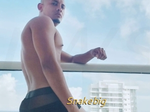 Snakebig