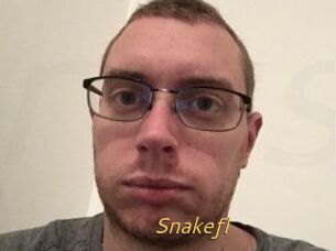Snakefl