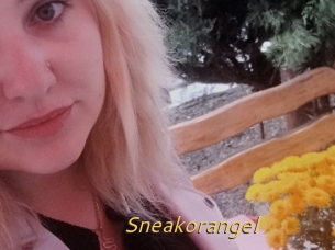 Sneakorangel