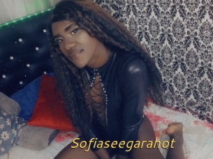 Sofiaseegarahot