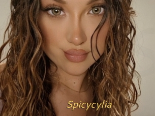 Spicycylia