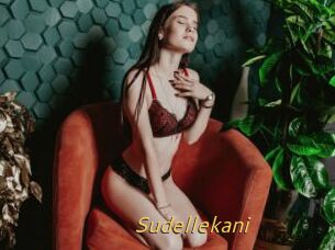 Sudellekani
