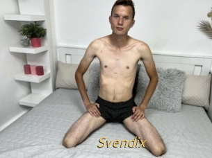 Svendix