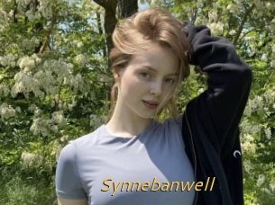 Synnebanwell