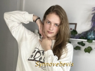 Synnovebevis