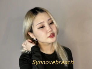 Synnovebranch