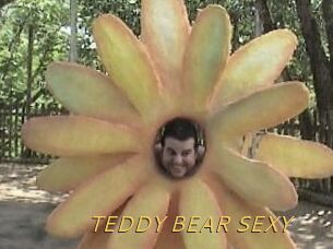 TEDDY_BEAR_SEXY