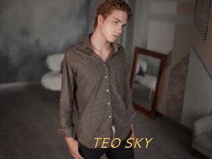 TEO_SKY