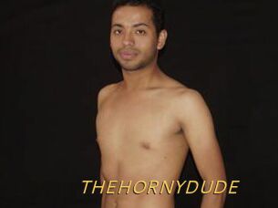 THEHORNYDUDE