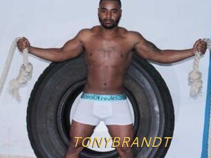TONYBRANDT