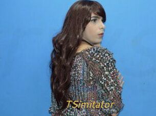 TSimitator