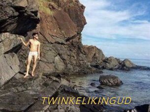 TWINKELIKINGUD