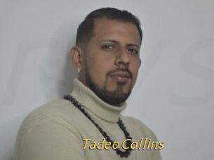 TadeoCollins