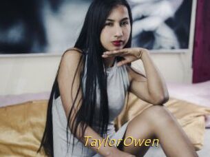 TaylorOwen