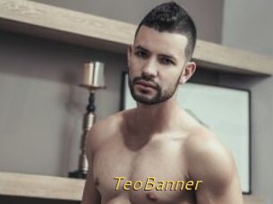 TeoBanner