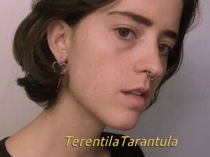 TerentilaTarantula