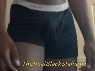 TheRealBlackStallion1
