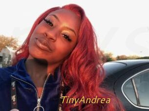 TinyAndrea
