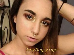 TinyAngryTiger