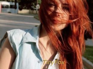 TinyFox