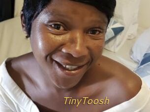 TinyToosh