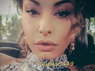 Trouble3449