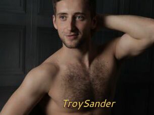 TroySander
