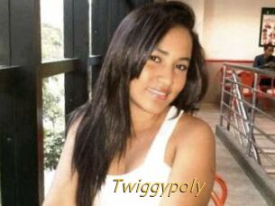 Twiggypoly