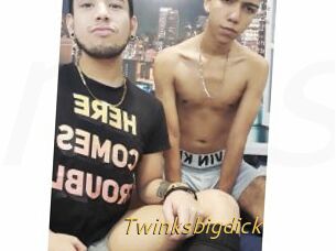 Twinksbigdick