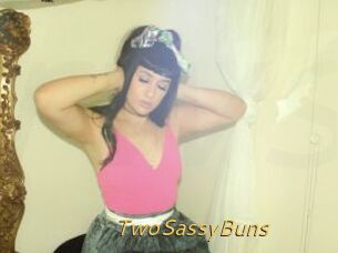TwoSassyBuns