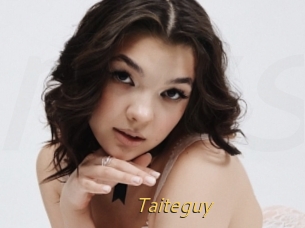 Taiteguy