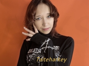 Taiteharkey
