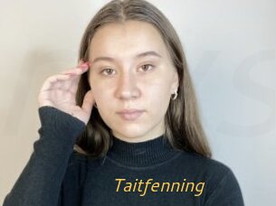 Taitfenning