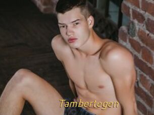 Tambertegen