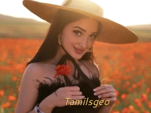 Tamilsgeo