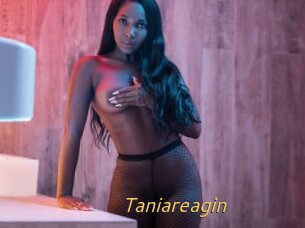 Taniareagin