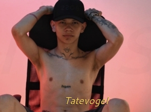 Tatevogel