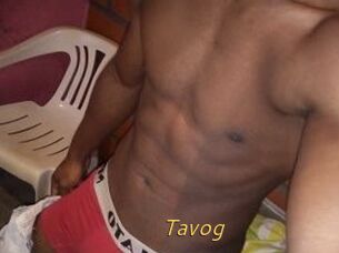 Tavog