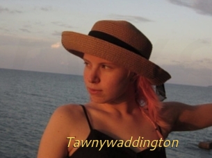 Tawnywaddington