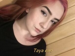 Taya_exe