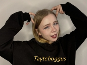 Tayteboggus