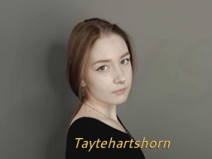 Taytehartshorn