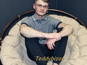 Teddybizon