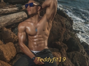 Teddyfit19