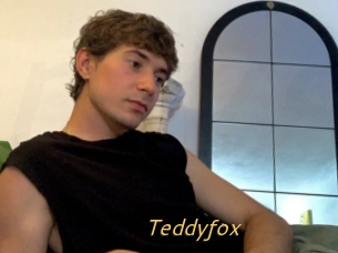 Teddyfox