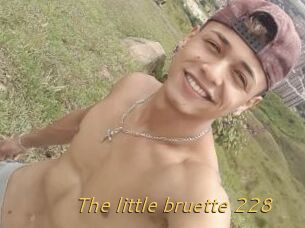The_little_bruette_228