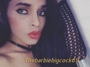Thebarbiebigcock69