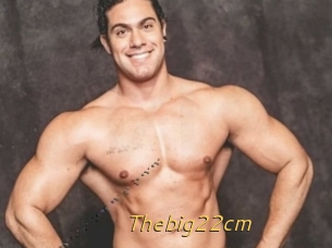 Thebig22cm